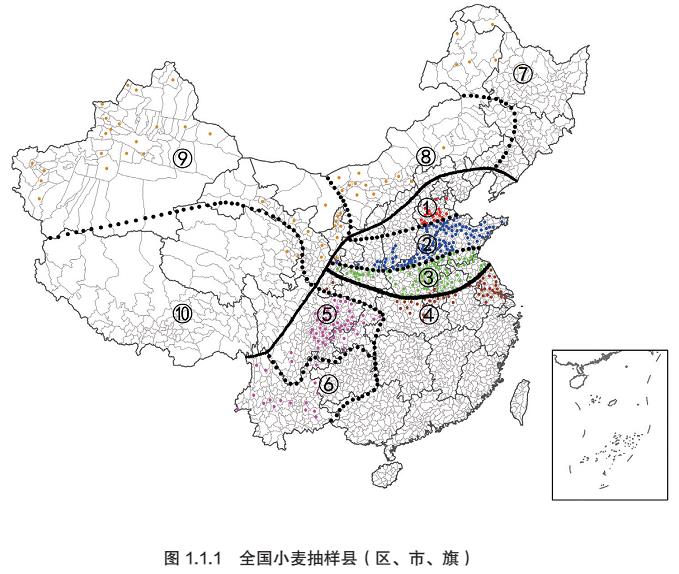 农业部公布2013中国小麦质量报告